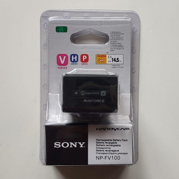 Sony FV 100 Battery – Camera House